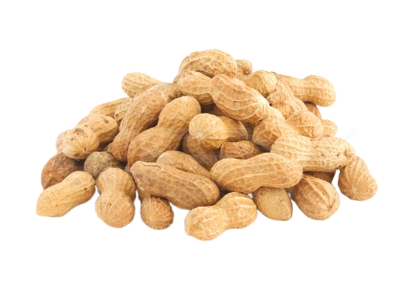 Kacang Tanah Kulit / Peanut In Shell / 有壳花生 10kg